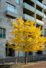 Herbst in Berlin