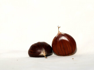 chestnuts isolated for background