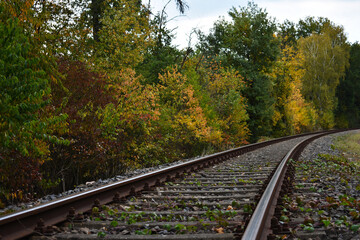 Obraz premium railroad railway for traveling transportation near autumn trees with yellow green red leaves in Nienburg Germany