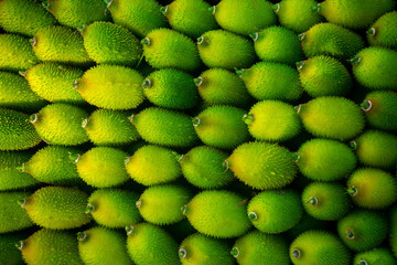 Fresh and green spiny gourd vegetables ready for sale in the market.