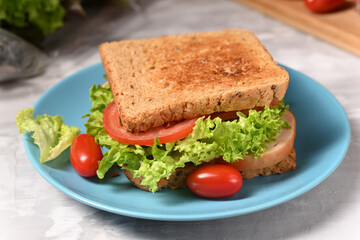 Sandwich with ham and fresh salad on the plate.