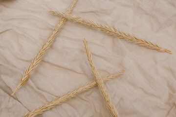 ripe spikelet natural wheat beige linen fabric