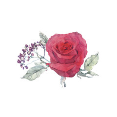 Watercolor clip art with bouquet of rose and herbs.