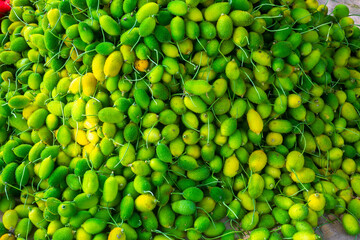 Fresh and green spiny gourd vegetables ready for sale in the market.