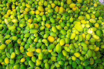Fresh and green spiny gourd vegetables ready for sale in the market.