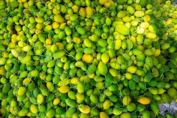 Fresh and green spiny gourd vegetables ready for sale in the market.