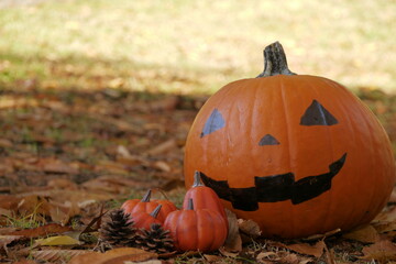 落ち葉の上のハロウィンかぼちゃ