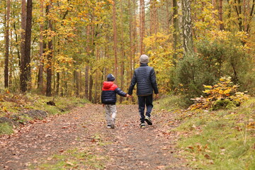 Fototapeta premium Two little boys walking in the woods.