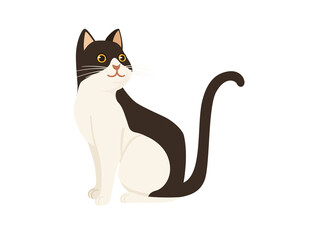 Obraz premium Cute cartoon animal design white and brown domestic cat adorable animal flat vector illustration