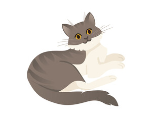 Cute cartoon animal design white and grey striped domestic cat adorable animal flat vector illustration