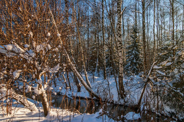 winter river landscape © Kushch Dmitry