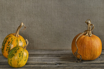 Orange pumpkins on a background of home-woven fabric. Place for text