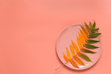 Abstract autumn greeting card: yellowed leaf in plate on a bright background. Flat lay. Copy space