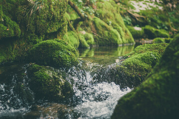 River running as small water falling through moss covered rocks