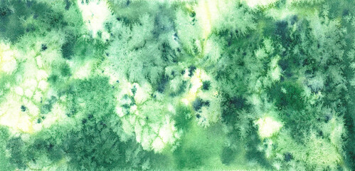 Fototapeta na wymiar Green abstract watercolor hand painted background