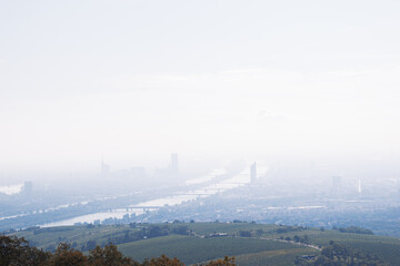 Vienna area