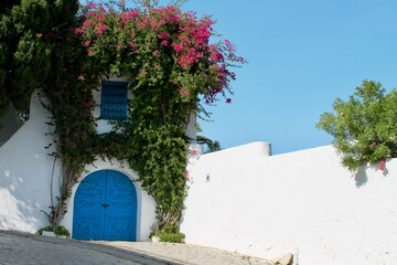 blue door pink flowers
