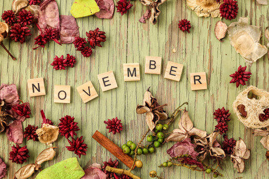 Flat lay image featuring border of various dried flowers surrounding wooden letters spelling the word November