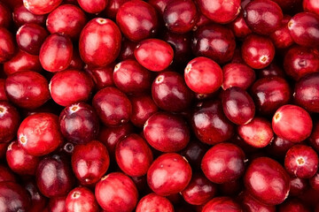 cranberries food background, red fresh autumn berries