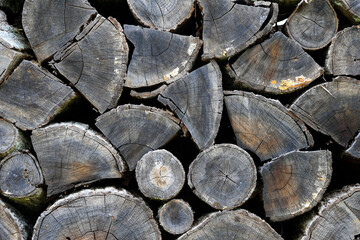 Snellville, GA - OCTOBER 24:   Woodpile in Snellville, GA