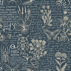 Seamless pattern with medicinal herbs, insects and handwritten text Lorem Ipsum. Vector hand-drawn herbs, beetles, butterflies on a dark background. Wallpaper, wrapping paper, fabric in retro style © paseven