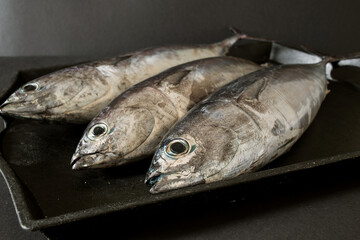 fresh mackerel on a black background