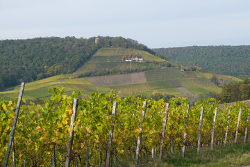 Beautiful vineyard landscape at the Handthal valley in Franken Bavaria