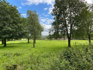 Large meadow, with trees, wild plants, and houses in the distance in, Embsay with Eastby, Skipton, UK