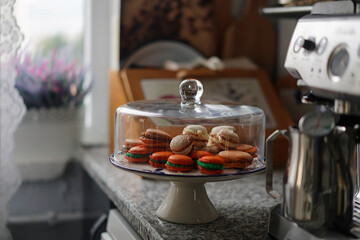 macarons in the bell jar