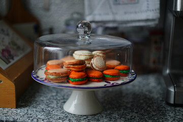 macarons in the bell jar