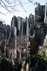 Fototapeta na wymiar February 2019, Kuniming, Yunnan Stone Forest Geological Park, Shilin County. The Kunming Stone Forest, Shilin in Chinese, is a spectacular collection of limestone groups and the representative of kars