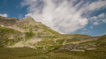 Alpine landscape. Green grass on the mountainside. Blue sky with cumulus clouds.