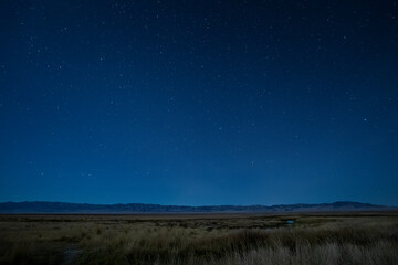 Autumn Wetlands in Moonlight
