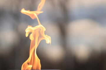 Flame of fire on gray background