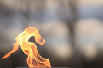 Fire flame on gray background