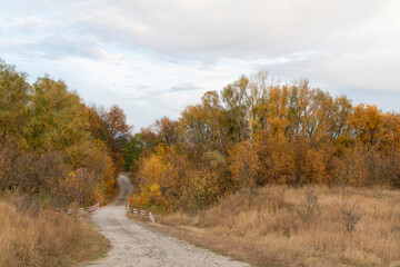 autumn forest landscape with blue sky background