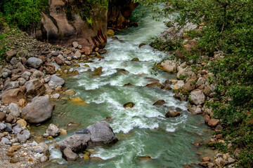 stream in the forest
