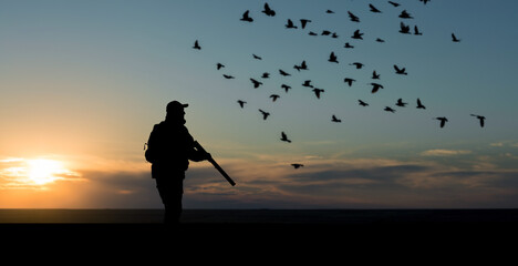 Silhouette of a hunter with a gun  against the sun, an ambush for ducks.