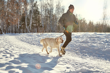 Labrador retriever dog with its owner man in the winter outdoors doing jogging sport