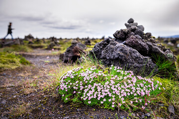 Laufscalavarda, Iceland landscape with people walking in background and stone rock cairns with...