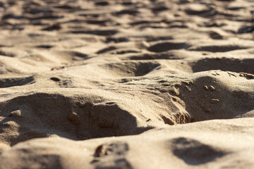 Uneven surface of sand on the beach at the seaside on a sunny day.