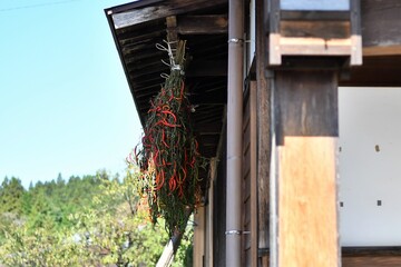 中山道：馬籠宿（NAKASENDO:MAGOMEZYUKU)