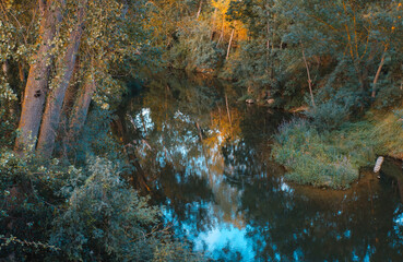 River and yellow trees. Beautiful landscape. Ebro river.