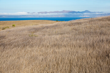 Landscape view of Santa Rosa Island during the day in Channel Islands National Park (California).