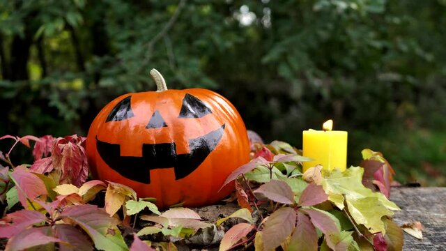 Orange pumpkin with an evil smile for Halloween in the autumn forest on a log next to a burning candle. Traditional Halloween symbol