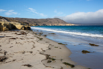 Landscape view of the beach on Santa Rosa Island during the day in Channel Islands National Park (California).
