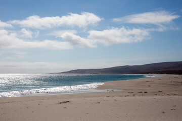 Landscape view of the beach on Santa Rosa Island during the day in Channel Islands National Park (California).