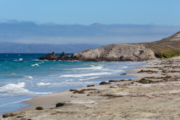 Landscape view of the beach on Santa Rosa Island during the day in Channel Islands National Park (California).