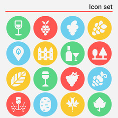 16 pack of vine  filled web icons set