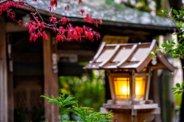 Fototapeta na wymiar Kyoto, Japan Gion district spring trees plants and red maple leaves in garden park and orange illuminated lantern lamp and blurry bokeh background